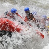Boat Tours