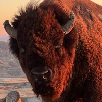 Holiday & Seasonal Tours