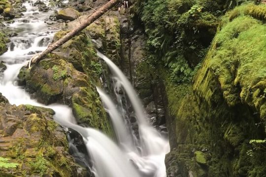 Valentine's Day in Port Angeles