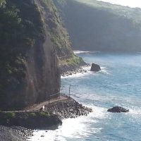 Bus & Minivan Tours