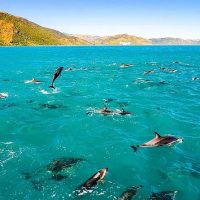 Cruises, Sailing & Water Tours
