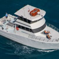 VIP & Exclusive Tours
