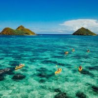 Kid Friendly Tours & Activities