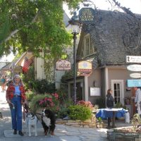 Cultural & Theme Tours