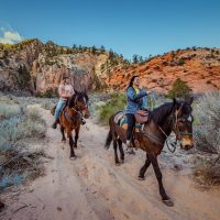 Horseback Riding