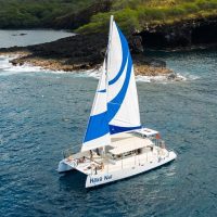 Day Cruises