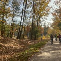 Bike & Mountain Bike Tours