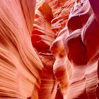 Holiday & Seasonal Tours