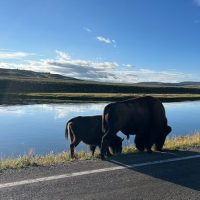 Full-day Tours