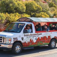 Bus & Minivan Tours