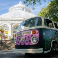 Sightseeing Tickets & Passes