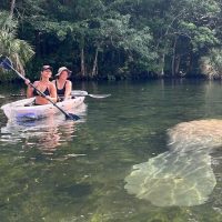 Half-day Tours