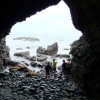 Half-day Tours