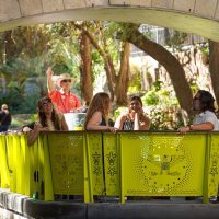 Tours & Sightseeing