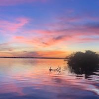 Private & Custom Tours