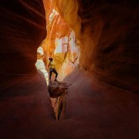 Half-day Tours