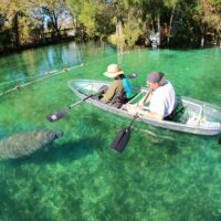 Luxury Tours