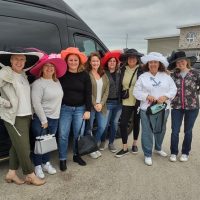 Half-day Tours