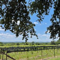 Wine Tasting & Winery Tours