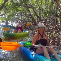 Fishing Charters & Tours