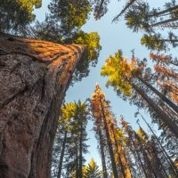 Bus & Minivan Tours