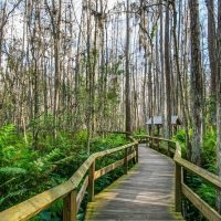 Full-day Tours