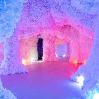 Attraction Tickets