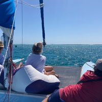 Catamaran Cruises