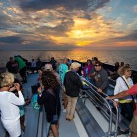 Cruises, Sailing & Water Tours