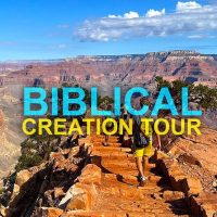 Cultural Tours