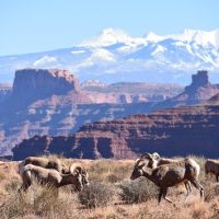 Cultural & Theme Tours