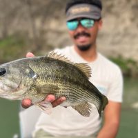 Fishing Charters & Tours