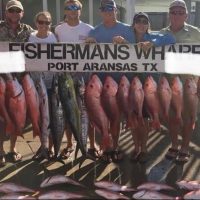 Port Transfers