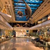 Historical & Heritage Tours