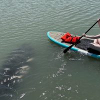 Kayaking & Canoeing
