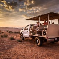 Bus & Minivan Tours