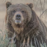 Full-day Tours