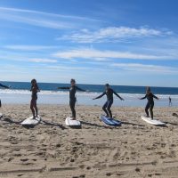 Surfing Lessons