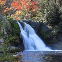 Bus & Minivan Tours
