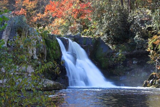 President's Day in Great Smoky Mountains National Park