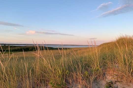 MLK Day in Martha's Vineyard