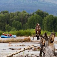 Photography Tours