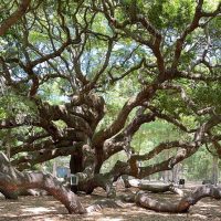 Day Trips & Excursions