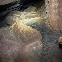 Half-day Tours