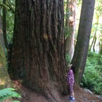 Bus & Minivan Tours