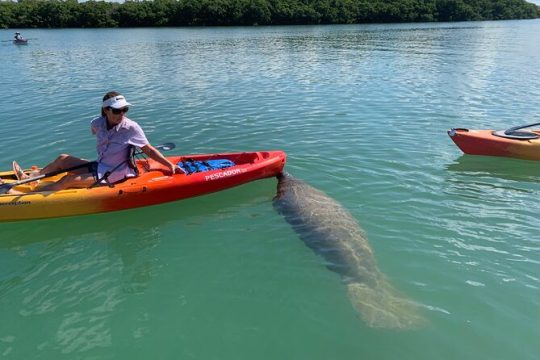 Valentine's Day in Sarasota