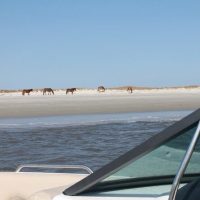 Boat Tours