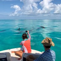Half-day Tours