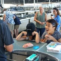 Cultural Tours