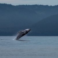Luxury Tours